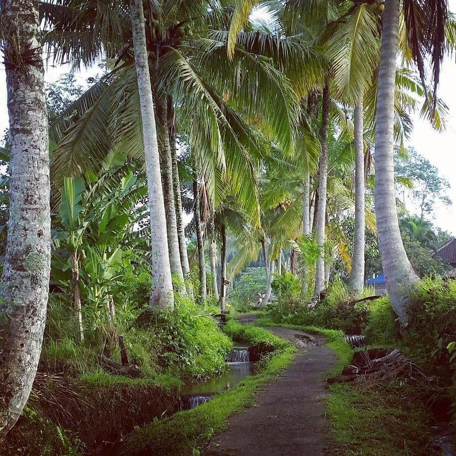 11 On Kajeng Otel Ubud Dış mekan fotoğraf